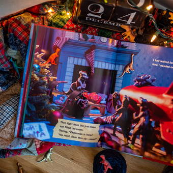 Бумажная книга «What the Dinosaurs Did the Night Before Christmas», авторов Рефе Тума, Сьюзен Тума - фото №8 - миниатюра