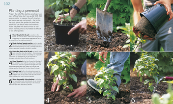 Бумажная книга «RHS How to Garden. A Practical Introduction to Gardening» - фото №3 - миниатюра