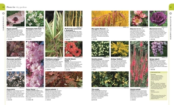 Бумажная книга «RHS What Plant Where Encyclopedia» - фото №2 - миниатюра
