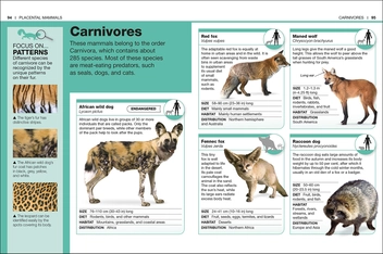 Бумажная книга «Mammals. Facts at Your Fingertips» - фото №7 - миниатюра