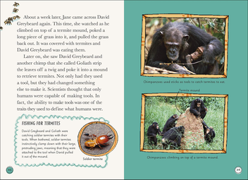 Бумажная книга «Jane Goodall», автор Либби Ромеро - фото №5 - миниатюра