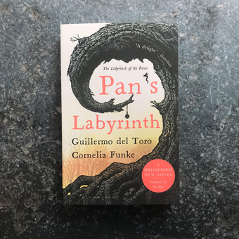 Бумажная книга «Pan's Labyrinth. The Labyrinth of the Faun», авторов Корнелия Функе, Гильермо дель Торо - фото №3 - миниатюра