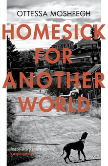 Бумажная книга «Homesick For Another World», автор Оттесса Мошфег - фото №1 - миниатюра