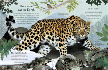 Паперова книга «Through the Animal Kingdom. Discover Amazing Animals and Their Remarkable Homes», автор Дерек Гарві - фото №11 - мініатюра