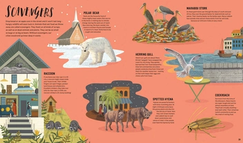 Бумажная книга «Wild City: Meet the animals who share our city spaces», автор Бен Хоар - фото №2 - миниатюра
