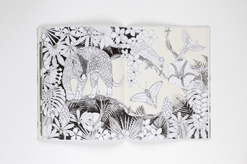 Бумажная книга «Into the Wild. An Exotic Animal Colouring Book», автор Дейзи Флетчер - фото №4 - миниатюра