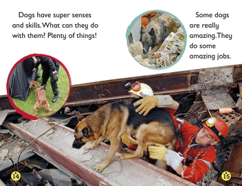 Паперова книга «Amazing Dogs. Tales of Daring Dogs!», автор Лора Буллер - фото №6 - мініатюра