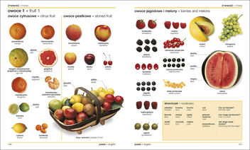 Бумажная книга «Polish-English Bilingual Visual Dictionary» - фото №7 - миниатюра