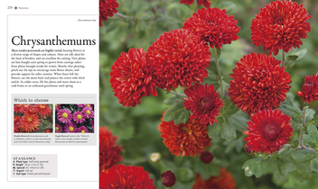 Бумажная книга «The Gardener's Year. Create, Care For, and Enjoy Your Garden Season by Season» - фото №5 - миниатюра