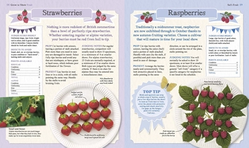 Бумажная книга «RHS Great British Village Show. What Goes on Behind the Scenes and How to be a Prize-Winner», автор Мэтью Биггс - фото №10 - миниатюра