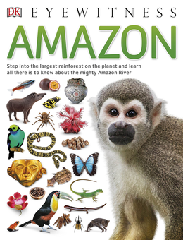 Бумажная книга «Amazon» - фото №1 - миниатюра