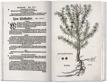 Бумажная книга «Leonhart Fuchs: The New Herbal of 1543», автор Вернер Дрессендорфен - фото №6 - миниатюра