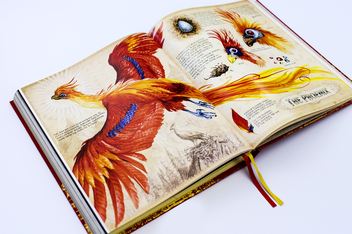 Бумажная книга «Harry Potter and the Chamber of Secrets. Deluxe Illustrated Slipcase Edition», автор Джоан Роулинг - фото №9 - миниатюра