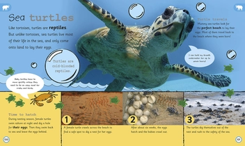 Бумажная книга «My Encyclopedia of Very Important Animals» - фото №7 - миниатюра