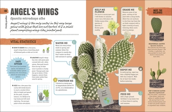 Бумажная книга «Happy Cactus. Choose It, Love It, Let It Thrive» - фото №7 - миниатюра