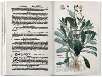 Бумажная книга «Leonhart Fuchs: The New Herbal of 1543», автор Вернер Дрессендорфен - фото №7 - миниатюра