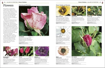 Бумажная книга «RHS Pests and Diseases», авторов Пиппа Гринвуд, Эндрю Холстед - фото №6 - миниатюра