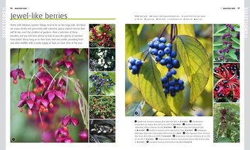 Паперова книга «RHS How to Grow Practically Everything. Gardening Projects Anyone Can Do», авторів Зія Алауей, Лія Леендертц - фото №3 - мініатюра