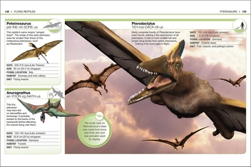 Паперова книга «Dinosaurs. Facts at Your Fingertips» - фото №7 - мініатюра