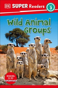 Паперова книга «Wild Animal Groups. Level 3» - фото №1 - мініатюра