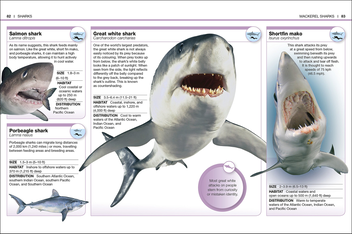 Паперова книга «Sharks. Facts at Your Fingertips» - фото №6 - мініатюра