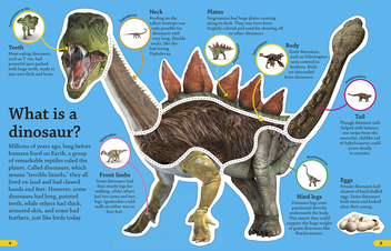 Бумажная книга «Dkfindout! Dinosaurs» - фото №7 - миниатюра