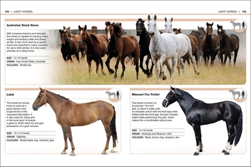 Бумажная книга «Horses. Facts at Your Fingertips» - фото №6 - миниатюра