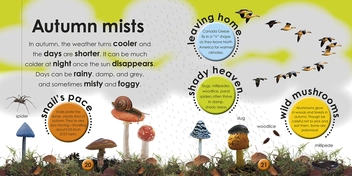 Бумажная книга «First Facts Seasons. Start a Lifetime of Learning» - фото №3 - миниатюра