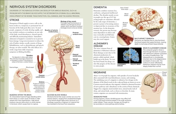 Бумажная книга «The Concise Human Body Book. An illustrated guide to its structure, function and disorders» - фото №9 - миниатюра