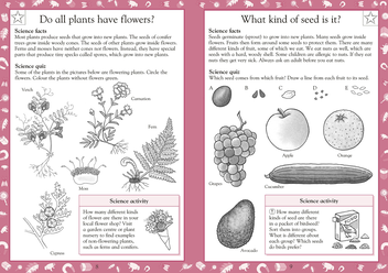 Паперова книга «Science Made Easy Ages 7–8 Key Stage 2», автор Керол Вордерман - фото №2 - мініатюра