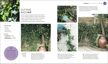 Паперова книга «RHS How To Garden When You're New To Gardening. The Basics For Absolute Beginners» - фото №7 - мініатюра
