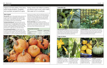 Бумажная книга «RHS The Big Box for Small Gardens» - фото №3 - миниатюра