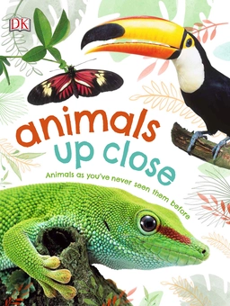 Бумажная книга «Animals Up Close» - фото №1 - миниатюра