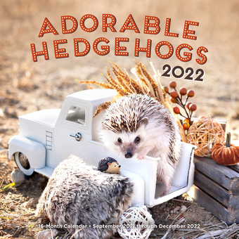 Паперова книга «Adorable Hedgehogs 2022» - фото №1 - мініатюра