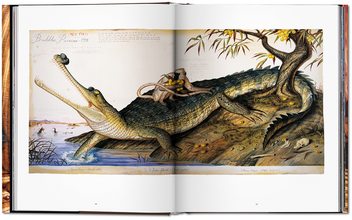 Бумажная книга «Walton Ford: Pancha Tantra», автор Билл Буфорд - фото №4 - миниатюра
