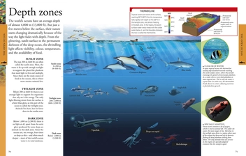 Бумажная книга «Ocean A Children's Encyclopedia» - фото №4 - миниатюра