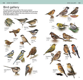 Бумажная книга «RSPB Pocket Garden Birdwatch», автор Марк Уорд - фото №4 - миниатюра