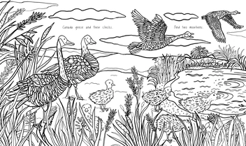 Бумажная книга «Kew A Year in the Garden Colouring Book» - фото №4 - миниатюра