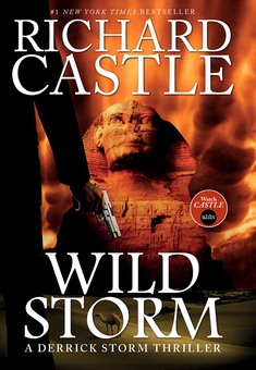 Бумажная книга «Wild Storm (Castle)», автор Ричард Касл - фото №2 - миниатюра