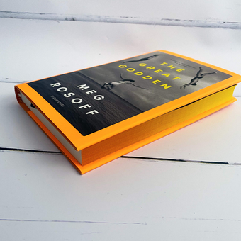 Бумажная книга «The Great Godden», автор Мег Розофф - фото №2 - миниатюра
