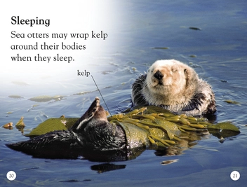Паперова книга «Sea Otters. Enjoy the Antics of Sea Otters!» - фото №6 - мініатюра