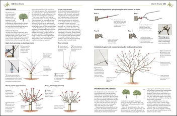 Бумажная книга «RHS Pruning & Training. Revised New Edition; Over 800 Plants; What, When, and How to Prune», авторов Кристофер Брикелл, Дэвид Джойс - фото №3 - миниатюра