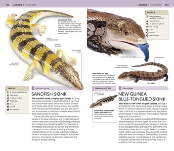 Бумажная книга «Nature Guide Snakes and Other Reptiles and Amphibians. The World in Your Hands» - фото №2 - миниатюра
