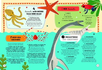 Бумажная книга «Lists for Curious Kids: Animals», автор Трейси Тернер - фото №3 - миниатюра