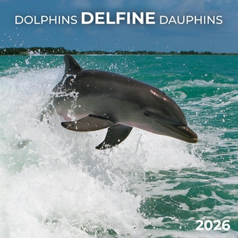 Бумажная книга «Delfine/Dolphins/Dauphins 2026» - фото №1 - миниатюра
