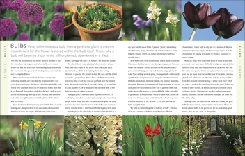 Бумажная книга «The Complete Gardener», автор Монти Дон - фото №6 - миниатюра