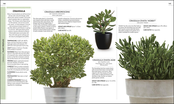 Паперова книга «RHS Practical Cactus and Succulent Book. How to Choose, Nurture, and Display more than 200 Cacti and Succulents» - фото №8 - мініатюра