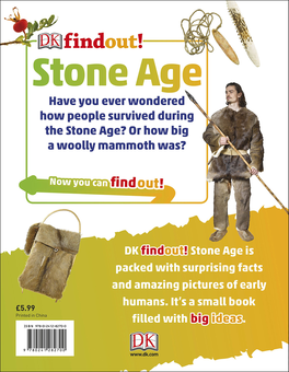 Бумажная книга «Stone Age» - фото №2 - миниатюра