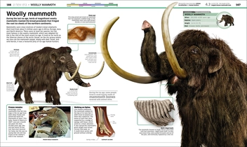 Бумажная книга «Knowledge Encyclopedia Dinosaur! Over 60 Prehistoric Creatures as You've Never Seen Them Before» - фото №9 - миниатюра