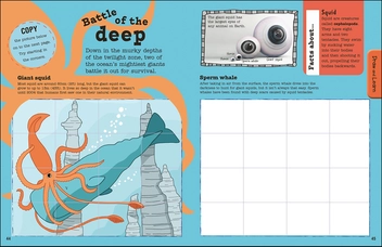 Бумажная книга «Sharks, Dolphins and Other Sea Creatures Ultimate Factivity Collection. Create your own Fun-packed Book!» - фото №5 - миниатюра